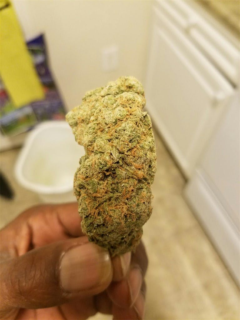 Photos of Sugar Cookie Weed Strain Buds Leafly