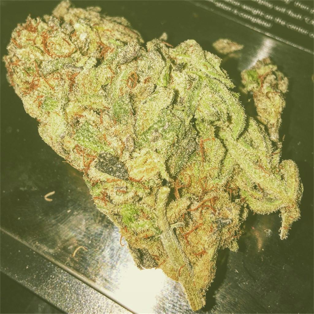 Photos of Sugar Cookie Weed Strain Buds Leafly