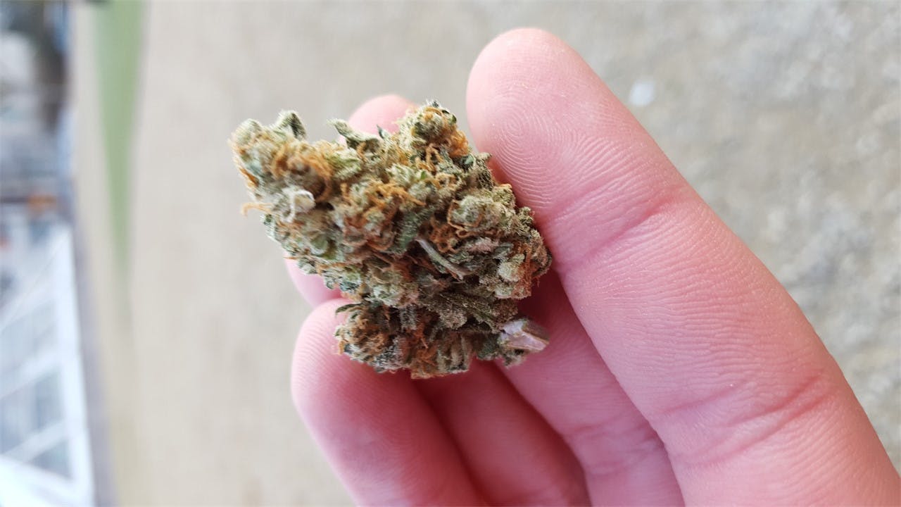 Sugar Kush Weed Strain Information Leafly