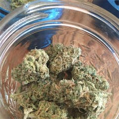 User uploaded image of Sugar Kush