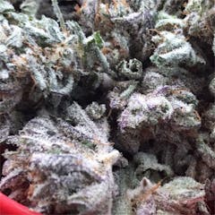 User uploaded image of Sugar Kush