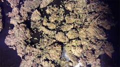 User uploaded image of Sugar Kush