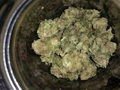 User uploaded image of Sugar Mama