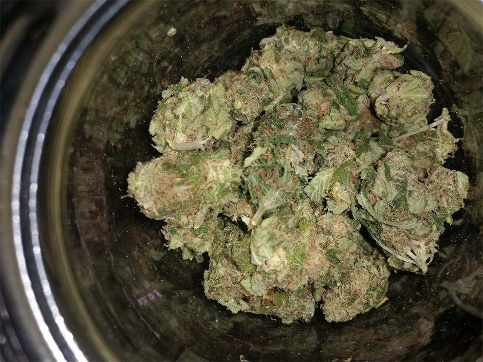 Photos of Sugar Mama Weed Strain Buds Leafly