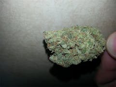 User uploaded image of Sugar Plum