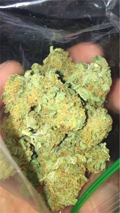 User uploaded image of Sugar Plum