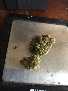 User uploaded image of Sugar Plum