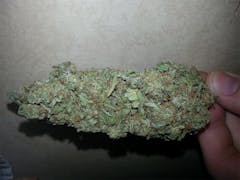 User uploaded image of Sugar Plum