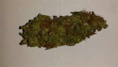 User uploaded image of Sugar Punch