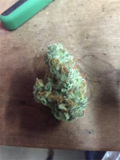 User uploaded image of Sugar Punch