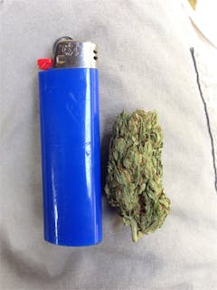 User uploaded image of Sugar Shack