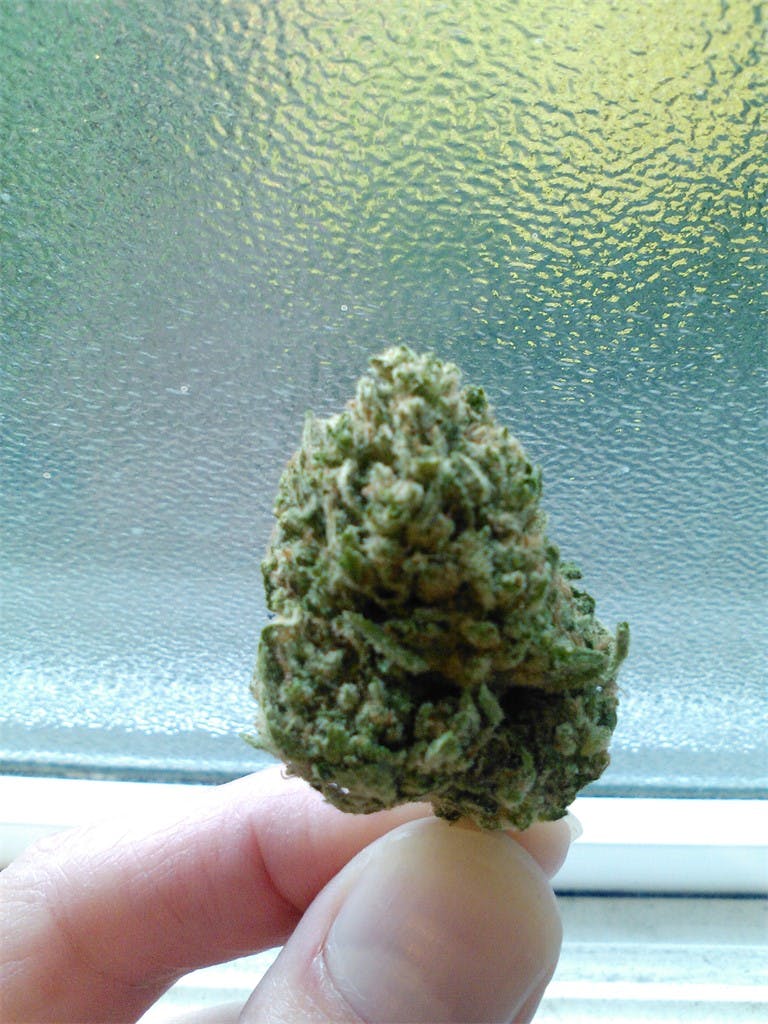 Sugar Shack Weed Strain Information Leafly