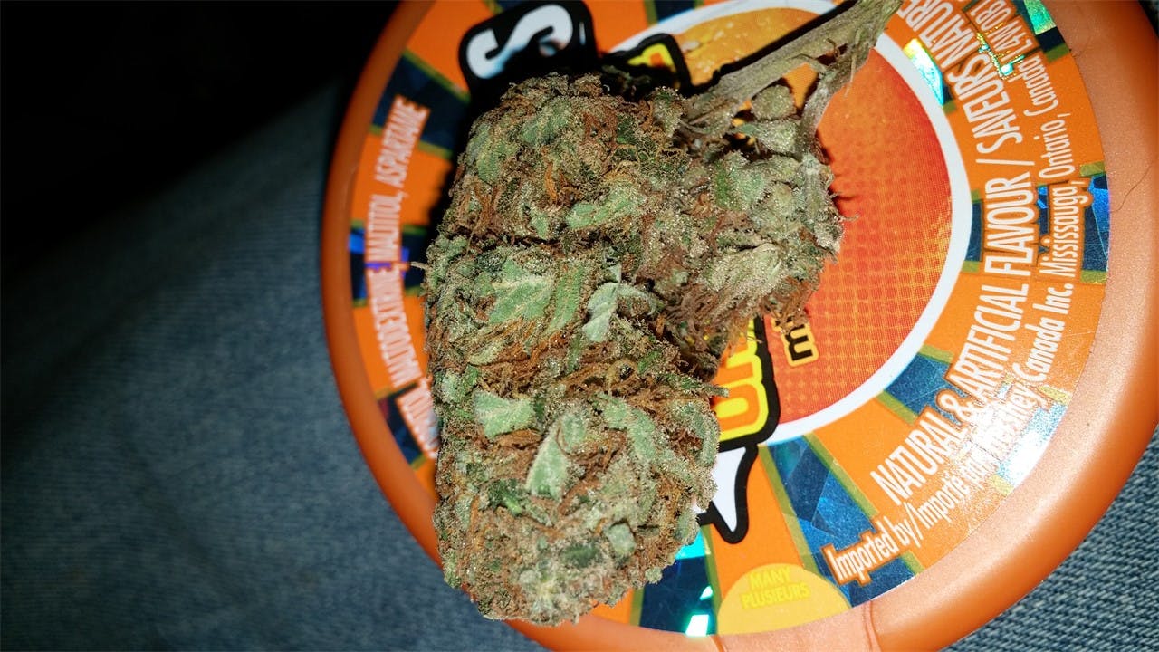 Sugar Shack Weed Strain Information Leafly