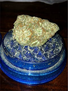 User uploaded image of Sugar Shack