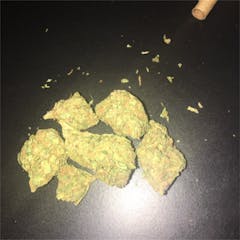 User uploaded image of Suicide Girl