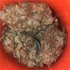 User uploaded image of Sumo Grande