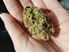 User uploaded image of Sunburn