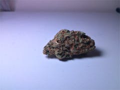 User uploaded image of Sunburn