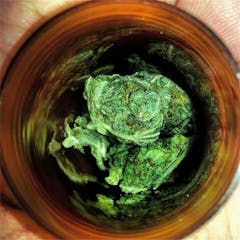 User uploaded image of Sunset Haze