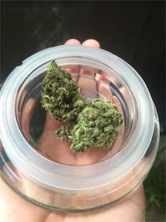 User uploaded image of Sunset Haze