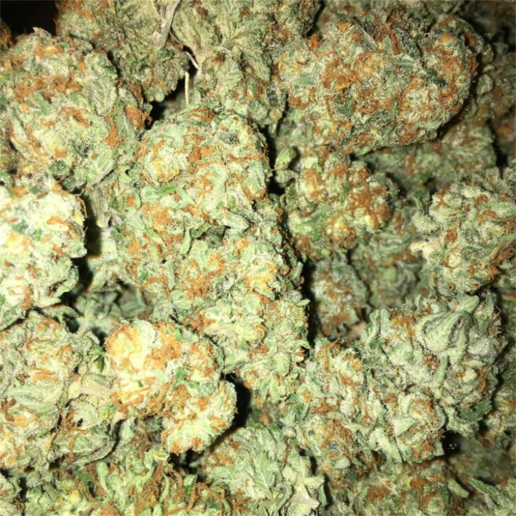 Photos of Sherbert Weed Strain Buds Leafly