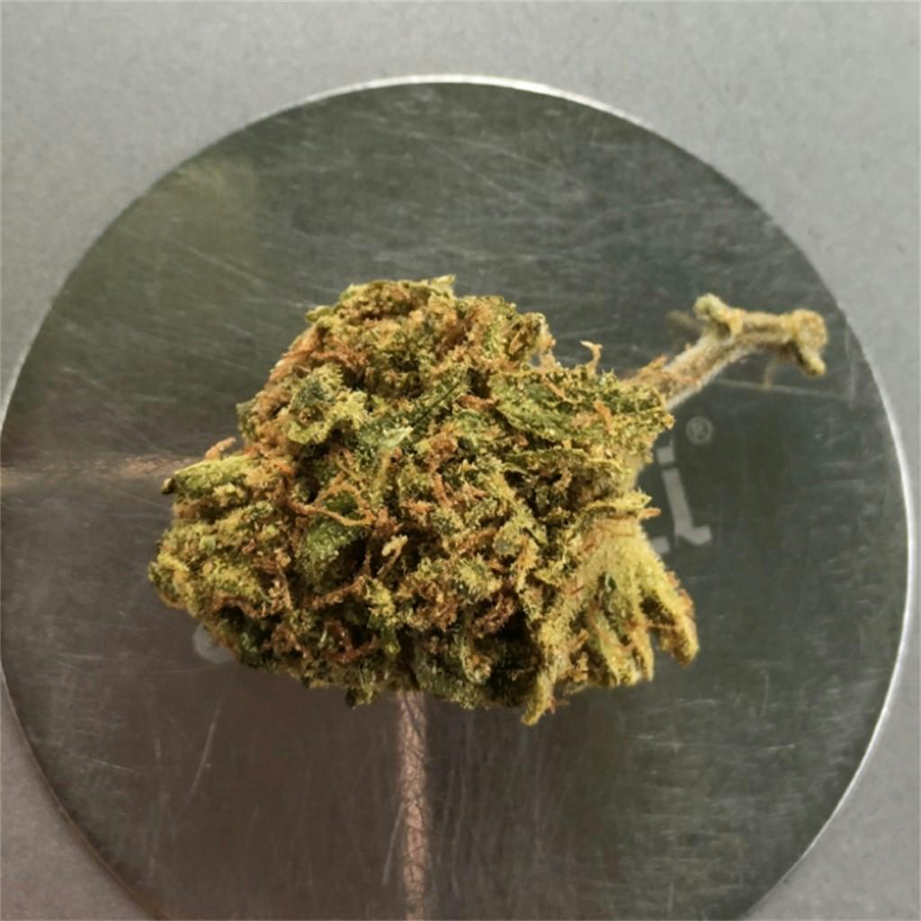 Photos of Sherbert Weed Strain Buds Leafly