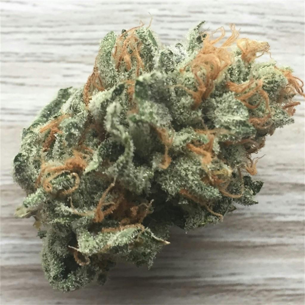 Photos of Sherbert Weed Strain Buds Leafly