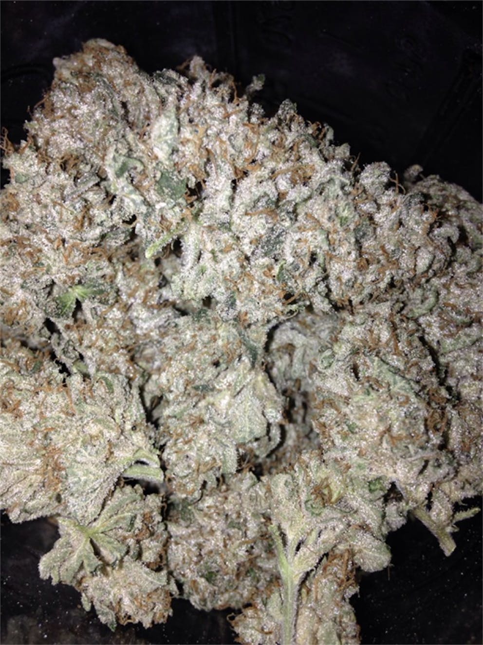 Photos of Sunshine 4 Weed Strain Buds Leafly