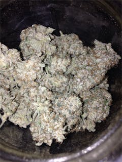 User uploaded image of Sunshine #4