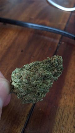 User uploaded image of Sunshine Daydream