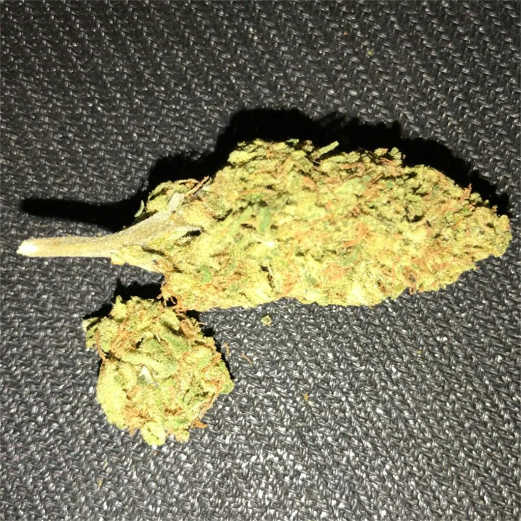 Sunshine Daydream Weed Strain Information Leafly