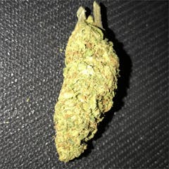 User uploaded image of Sunshine Daydream