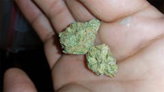 User uploaded image of Sunshine