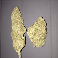 User uploaded image of Super Blue Dream