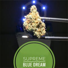 User uploaded image of Super Blue Dream