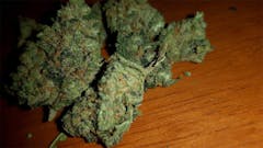 User uploaded image of Super Blue Dream