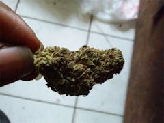 User uploaded image of Super Bud