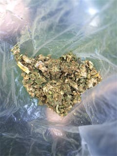 User uploaded image of Super Cat Piss