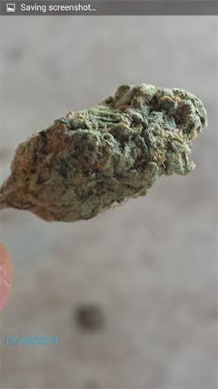 User uploaded image of Super Cat Piss