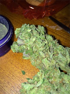 User uploaded image of Super Cheese