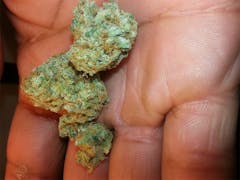 User uploaded image of Super Jack