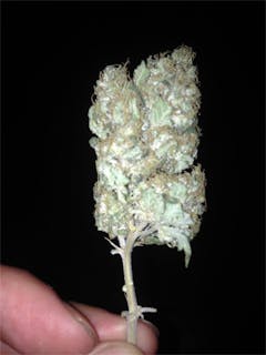 User uploaded image of Super Kush