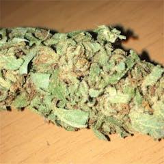 User uploaded image of Super Lemon Haze