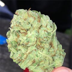 User uploaded image of Super Lemon Haze