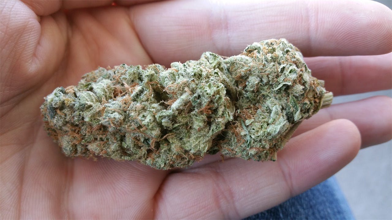 Super Lemon OG aka Super Lemon OG Kush Weed Strain Information Leafly