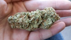 User uploaded image of Super Lemon OG
