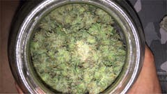 User uploaded image of Super Lemon OG