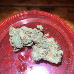 User uploaded image of Super Silver Haze
