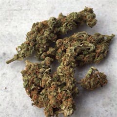 User uploaded image of Super Silver Haze
