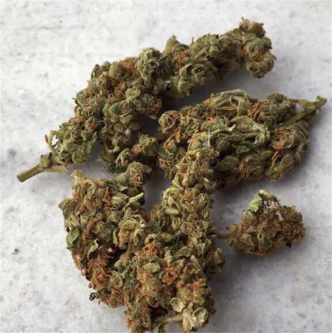 Super Silver Haze aka SSH Weed Strain Information | Leafly